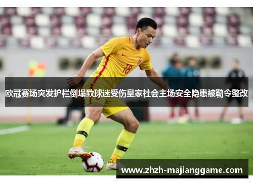 欧冠赛场突发护栏倒塌致球迷受伤皇家社会主场安全隐患被勒令整改 欧冠赛场突发护栏倒塌致球迷受伤皇家社会主场安全隐患被勒令整改
