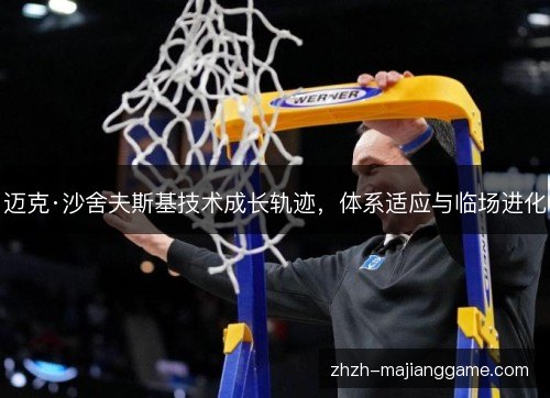 迈克·沙舍夫斯基技术成长轨迹，体系适应与临场进化