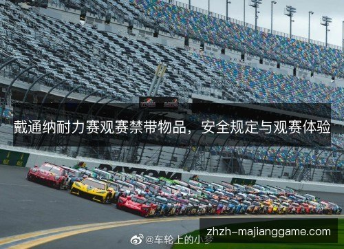 戴通纳耐力赛观赛禁带物品，安全规定与观赛体验